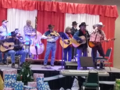 Festival of the Trees